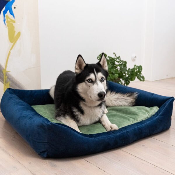 “Frida” navy blue bed + mattress
